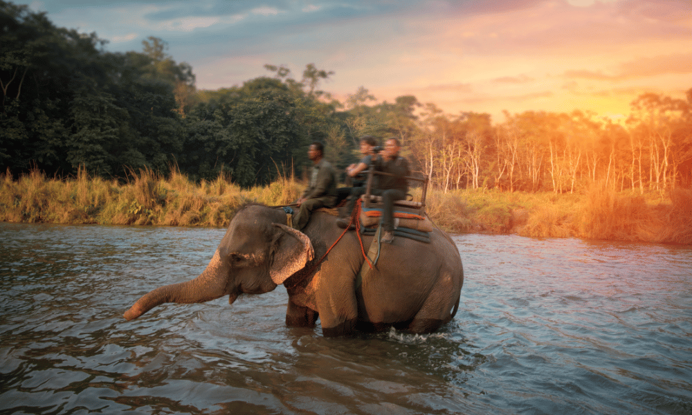  Chitwan National Park