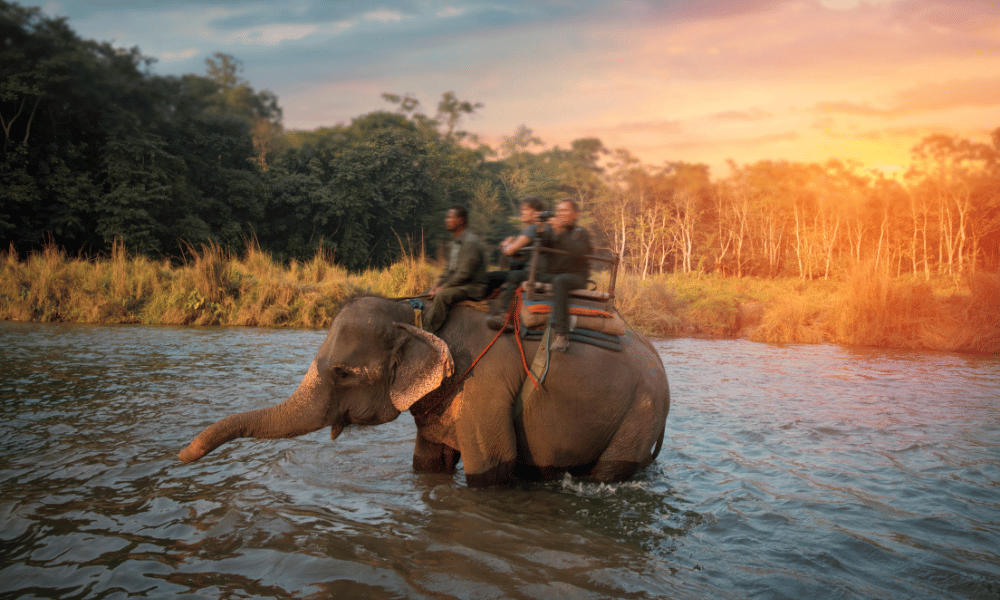 Chitwan National Park